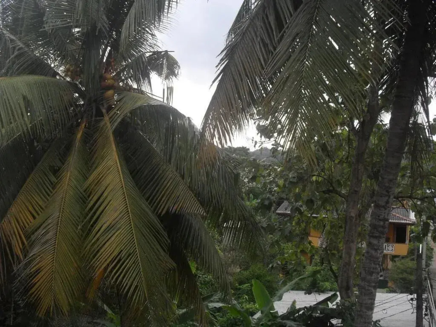 Hotel Elephant Lobby