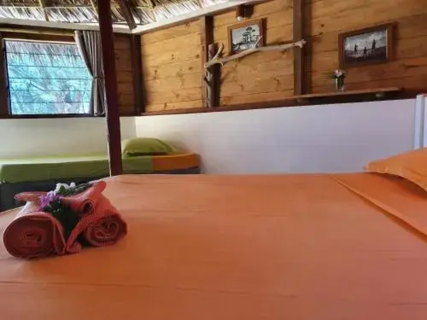 Ocean Lodge Kite  Windsurf