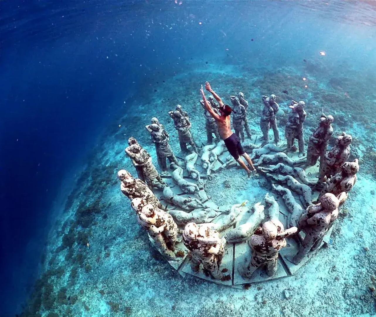 The Rabbit Tree - Hostel