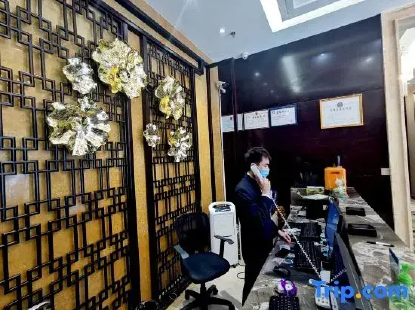 Falcon Bast Dreamlan  Hotel