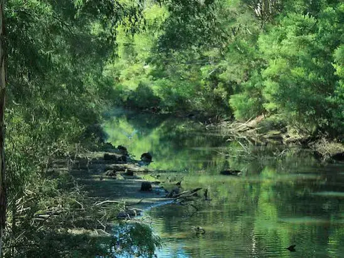 Margaret River Chalets