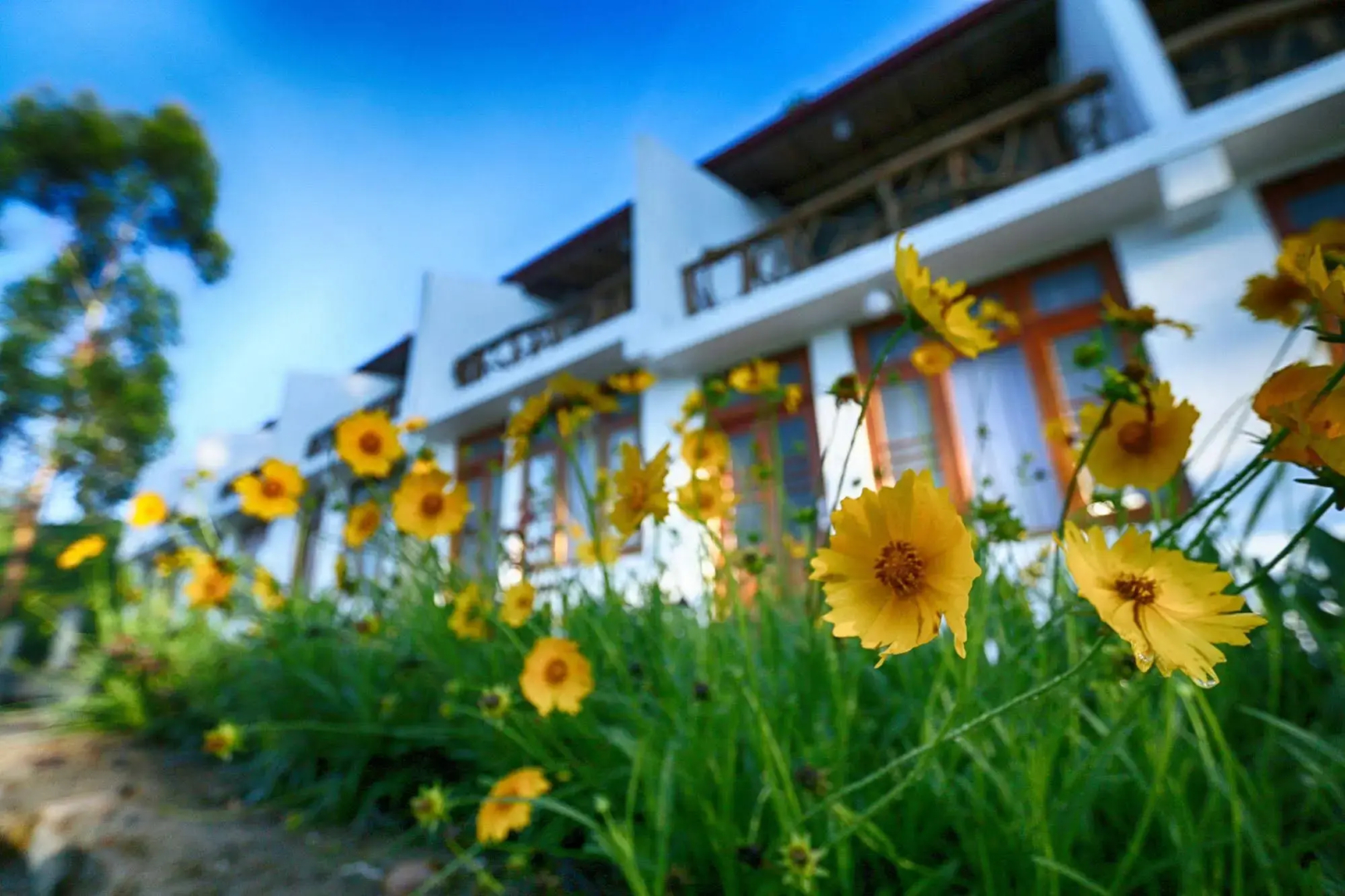 The Tea Tree Resort