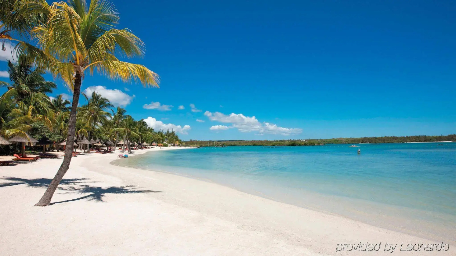 Constance Prince Maurice