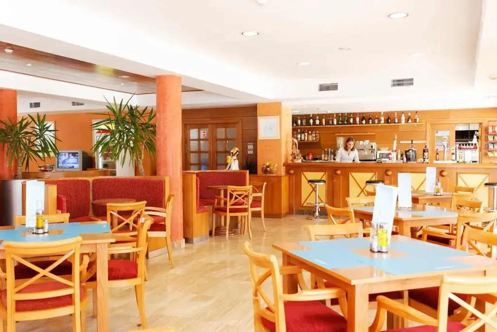 Comitas Isla del Aire