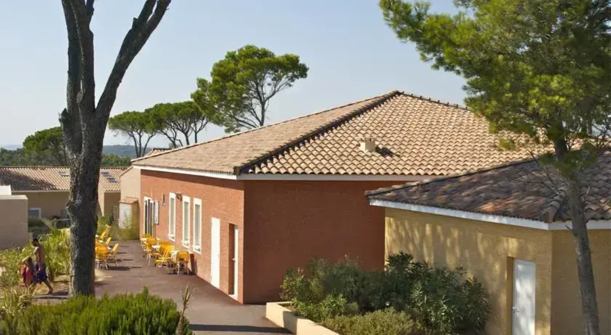 Le Domaine Des Mas Des Vignes