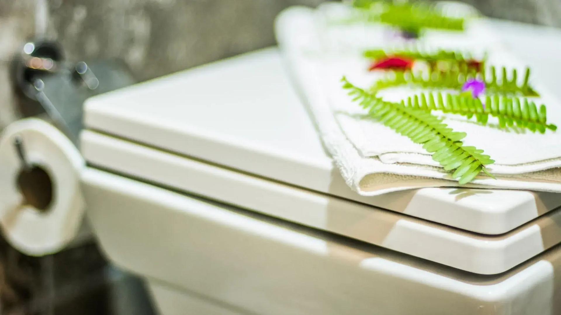 Queen Boutique Hotel