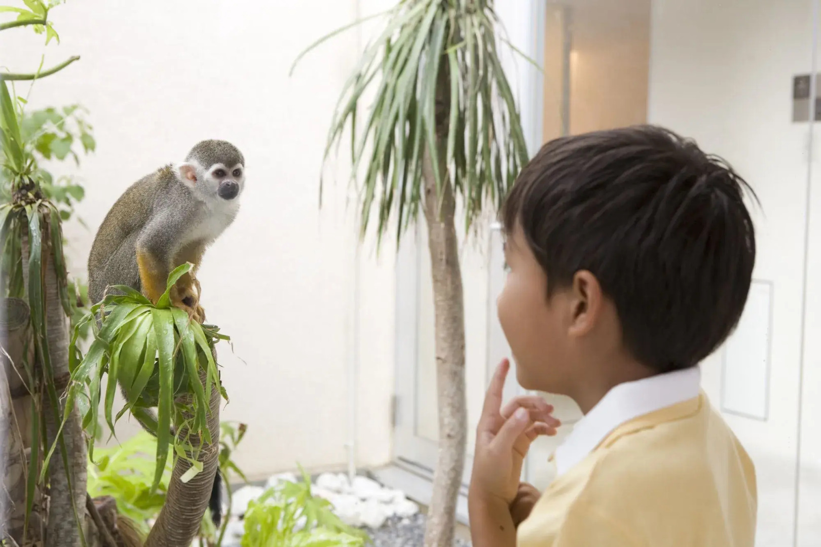 The Beach Tower Okinawa