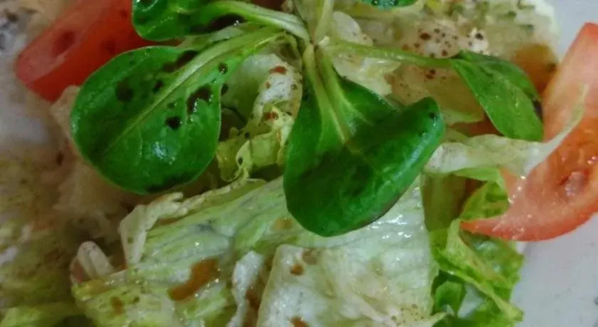 Gasthof zum grnen Baum