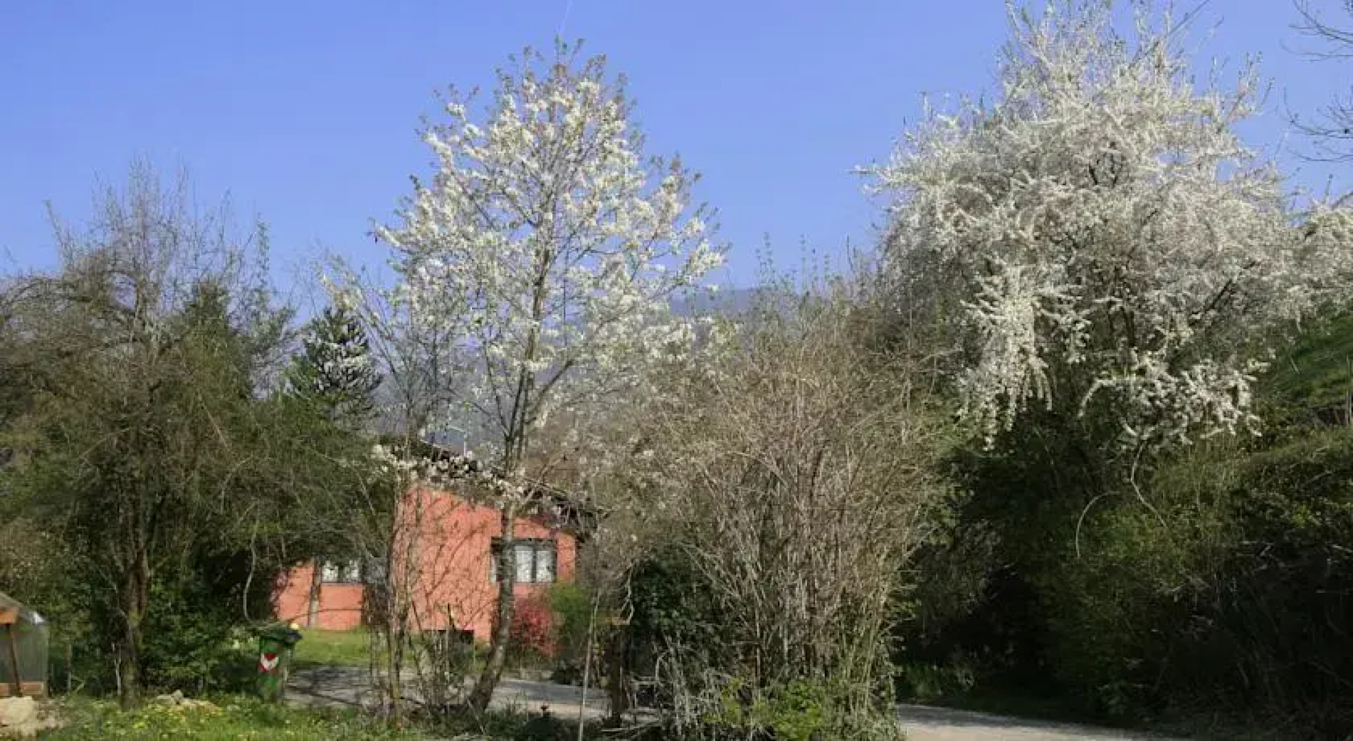 Bed and Breakfast Casa Rossa