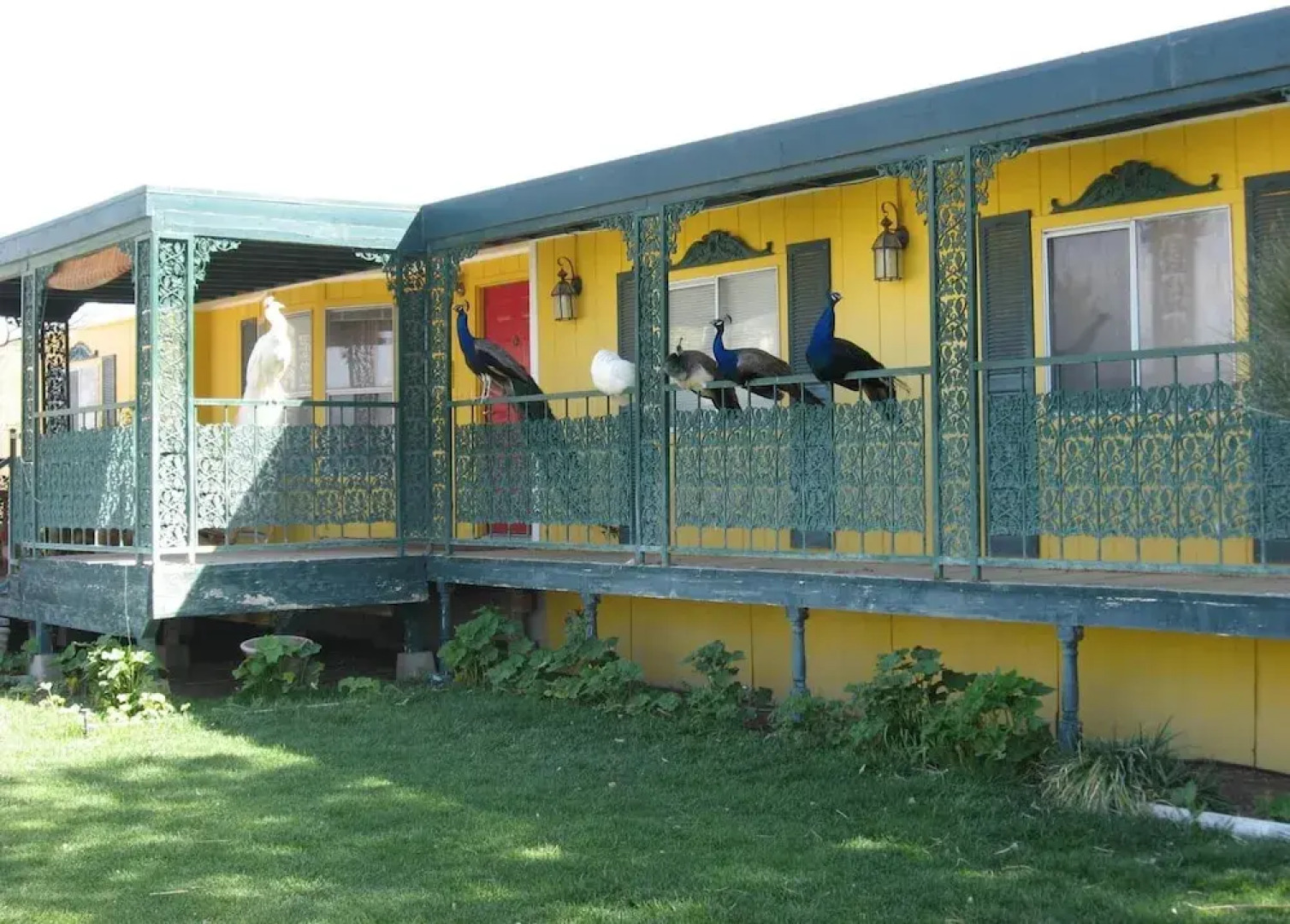 Shady Lady Bed & Breakfast