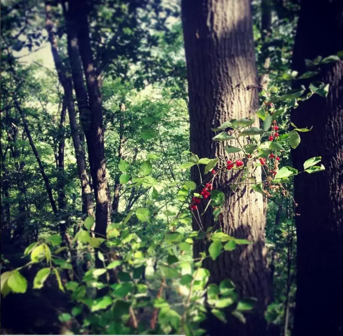 B&B Il Tempo Ritrovato