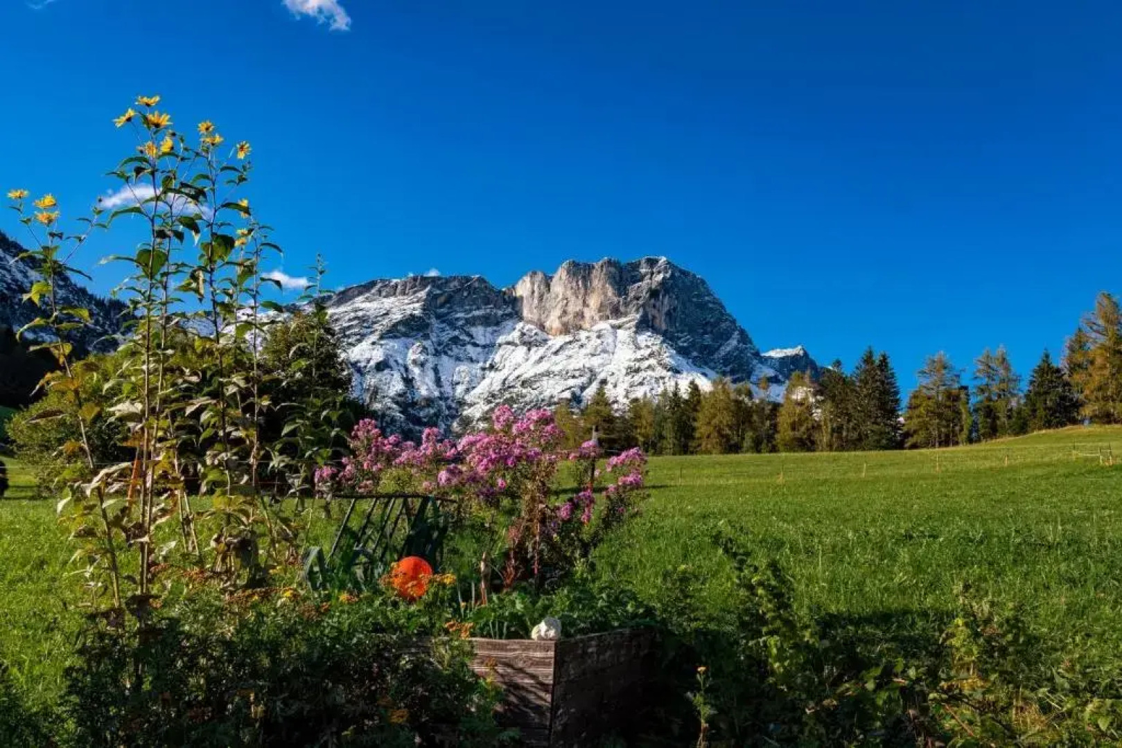Bauernhof am Fuße des Untersbergs Vorderstiedler