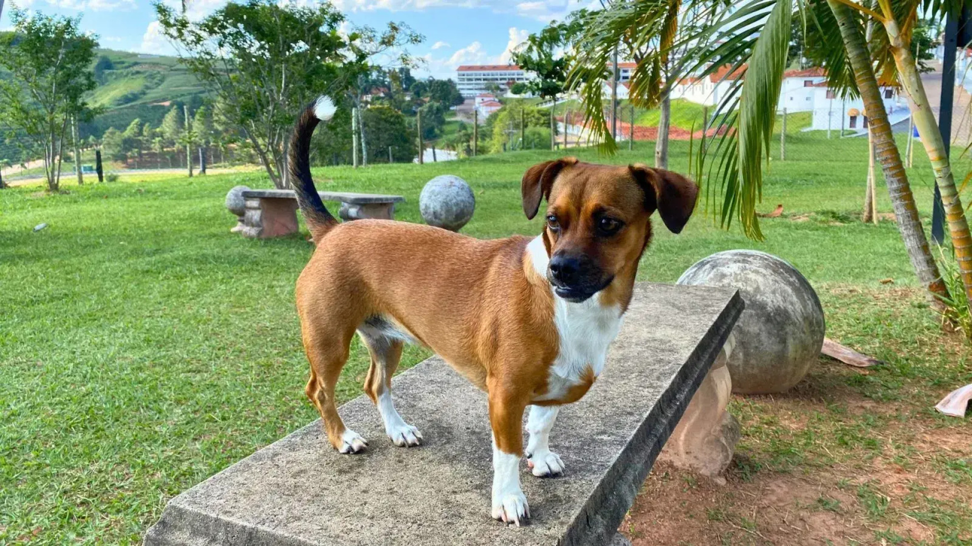 Hotel Fazenda Vale Do Sol