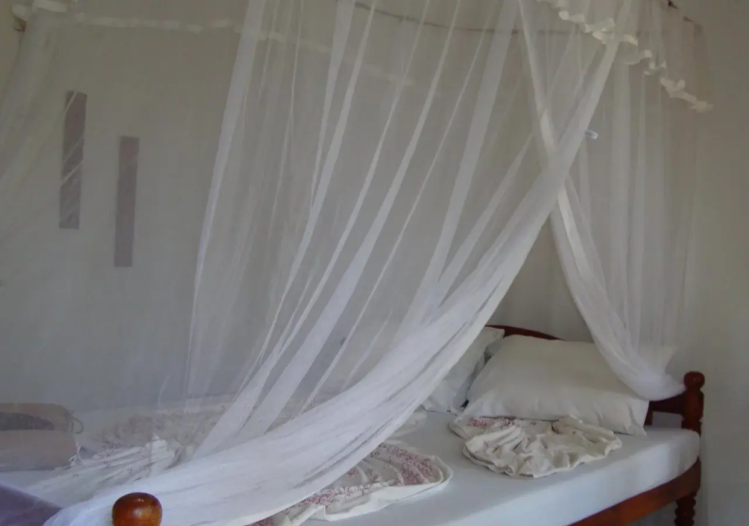 Black Beauty Guesthouse