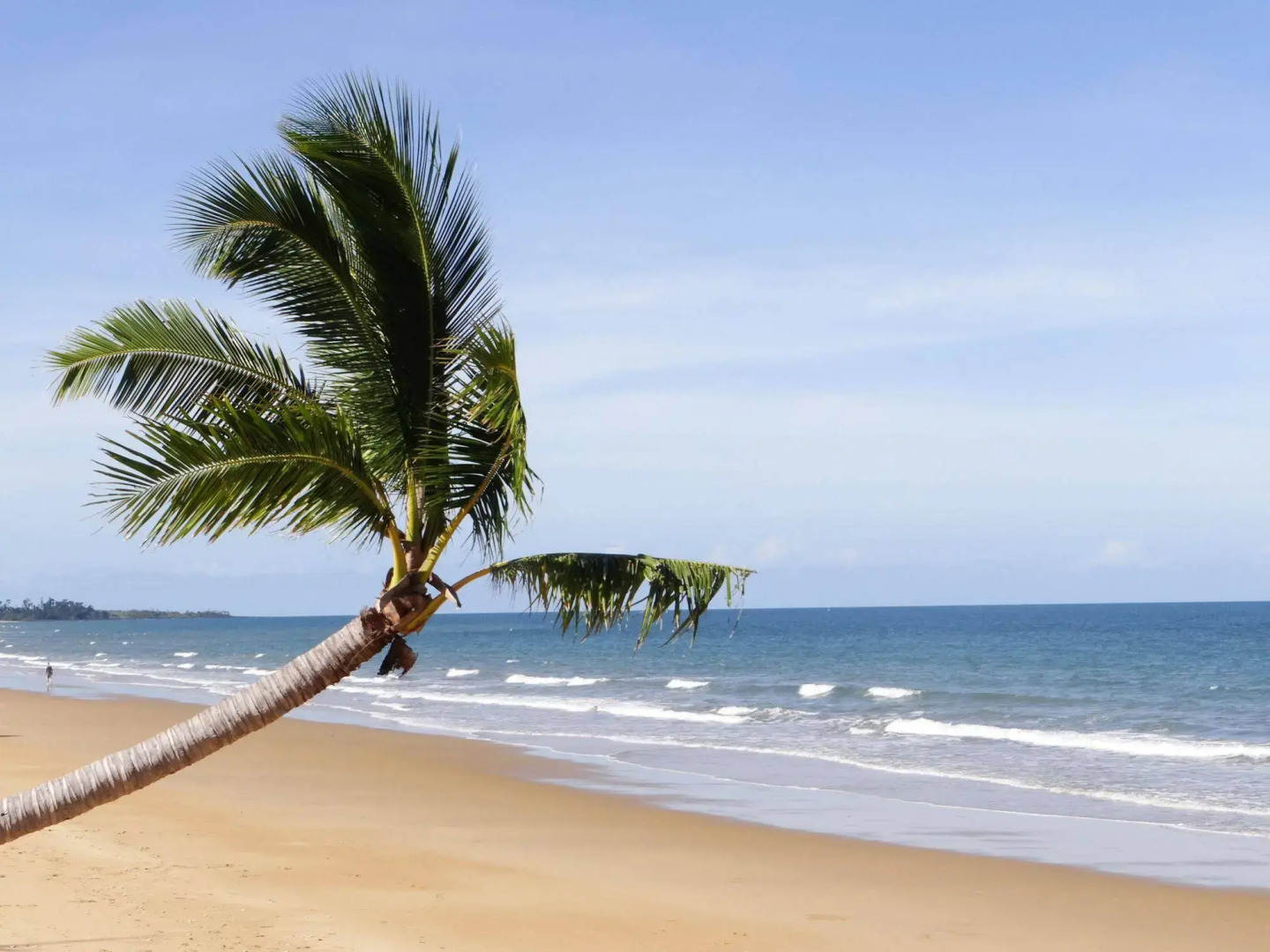 Absolute Backpackers