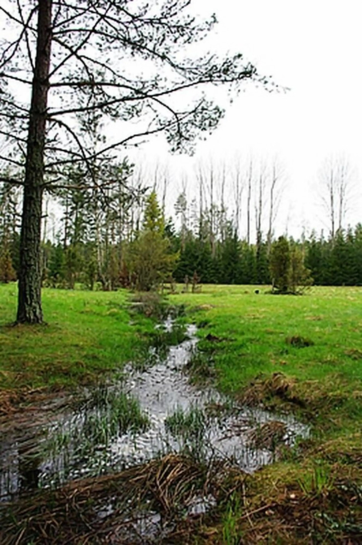 Smultronboda Fårgård