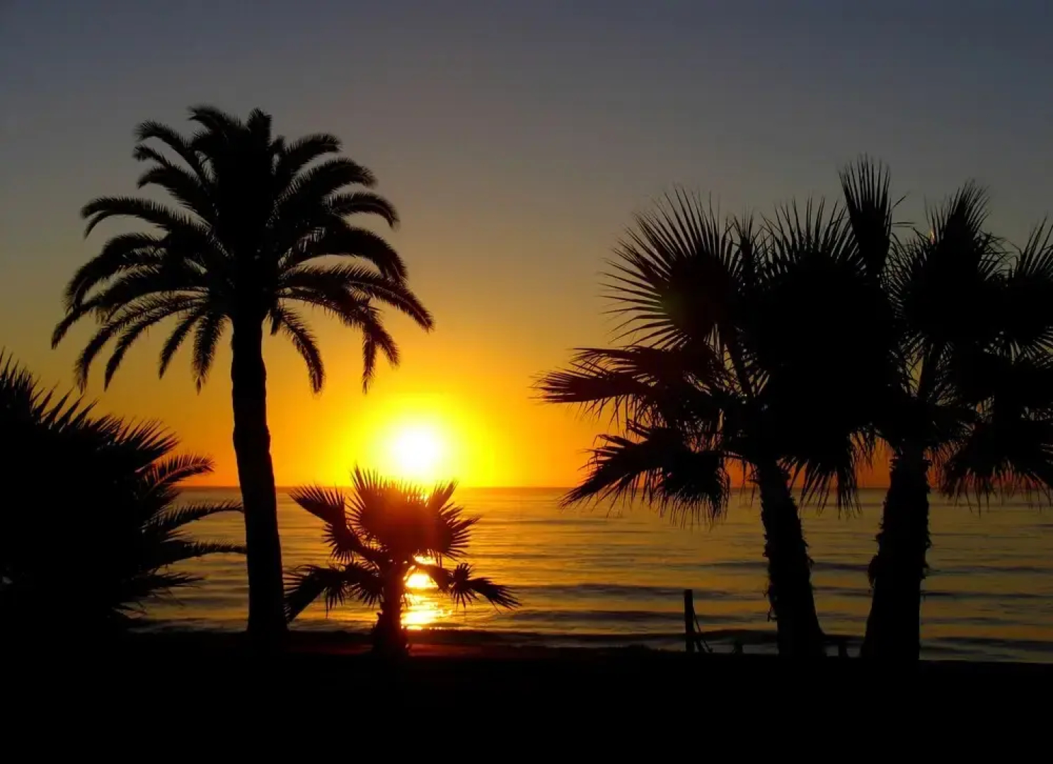 Apartamentos Marina d'Or Beach 2ª Línea