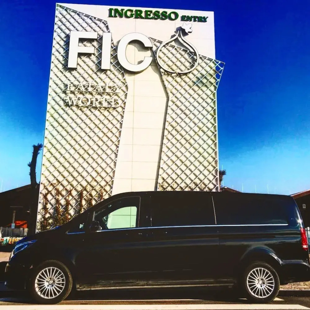 Casa della Terra di Mezzo