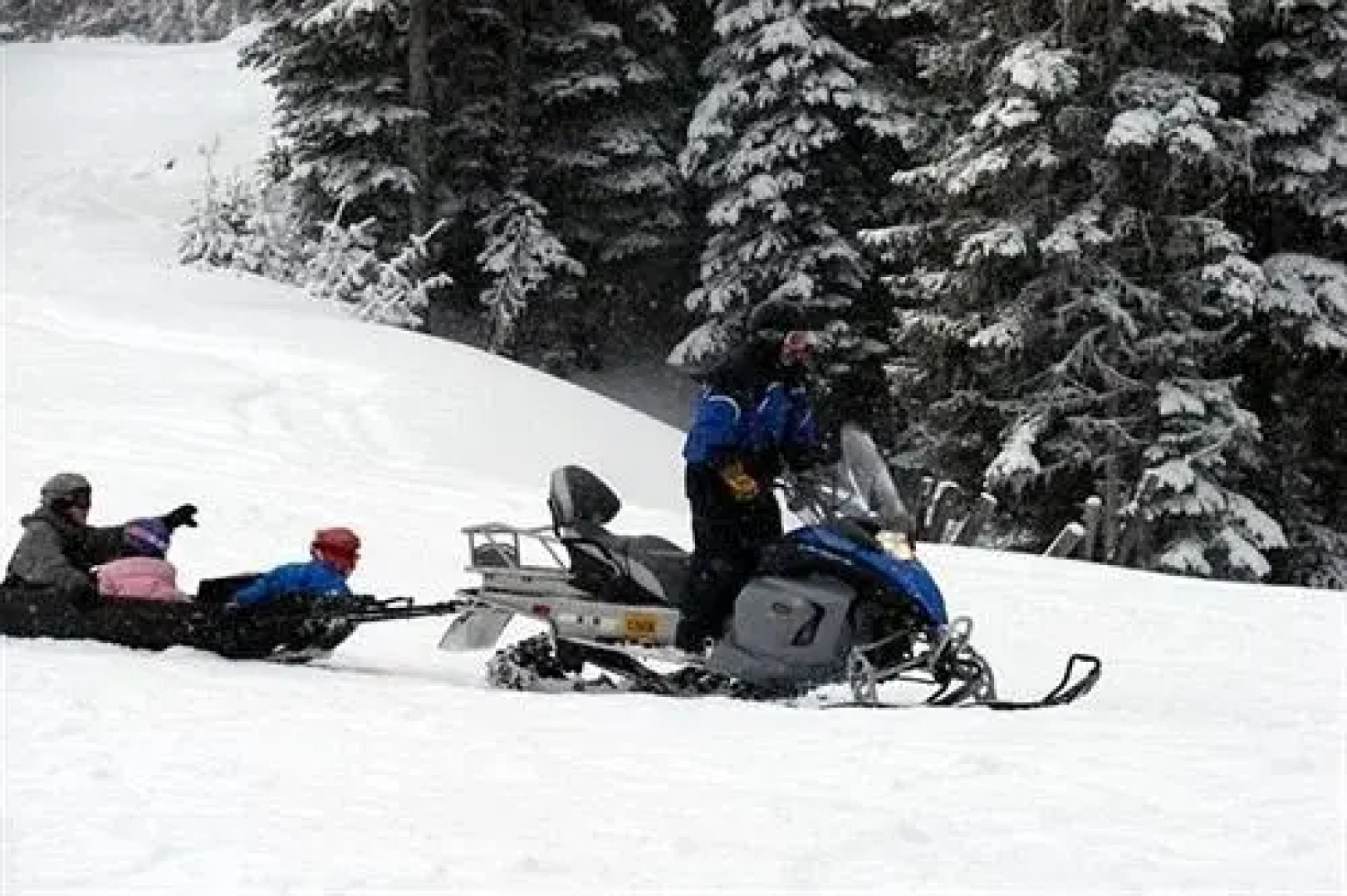 Apex Whitetail Chalet