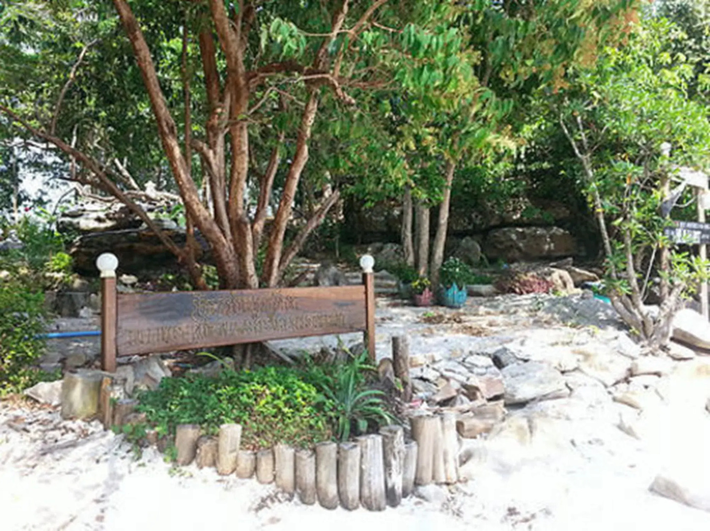 Tree House Bungalows Resort