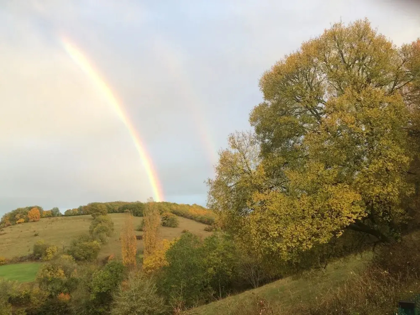 Domaine Pernot Chambres d'hôtes