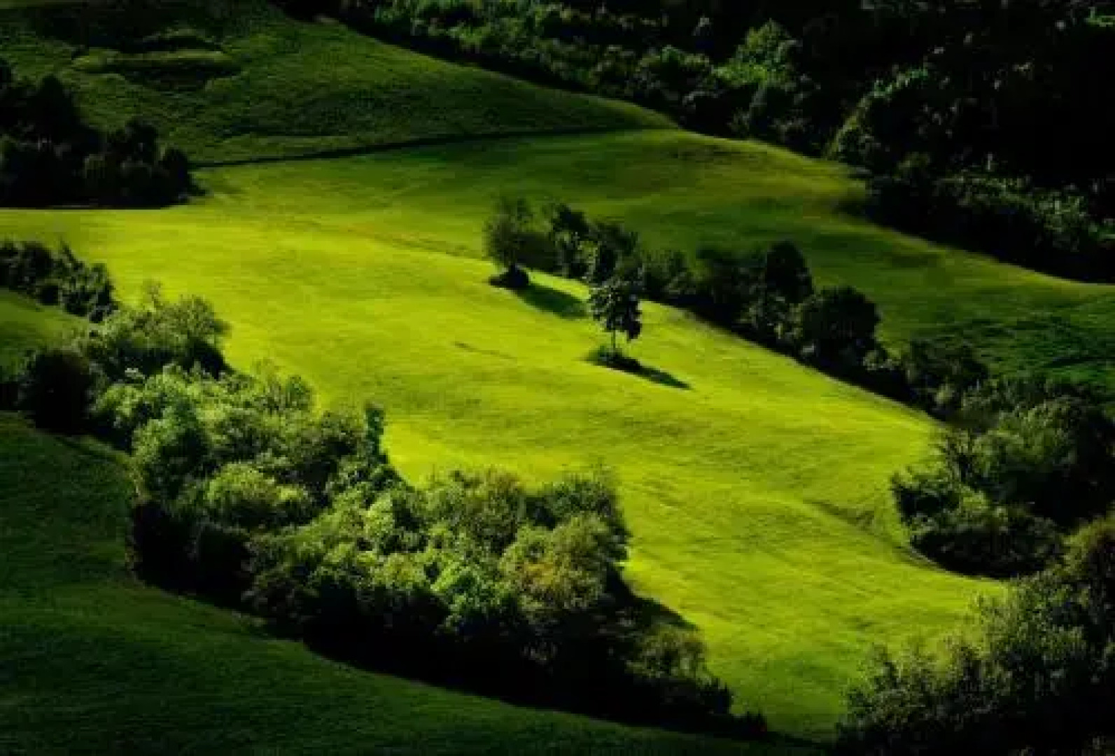 Podere Botruccio Bellaria
