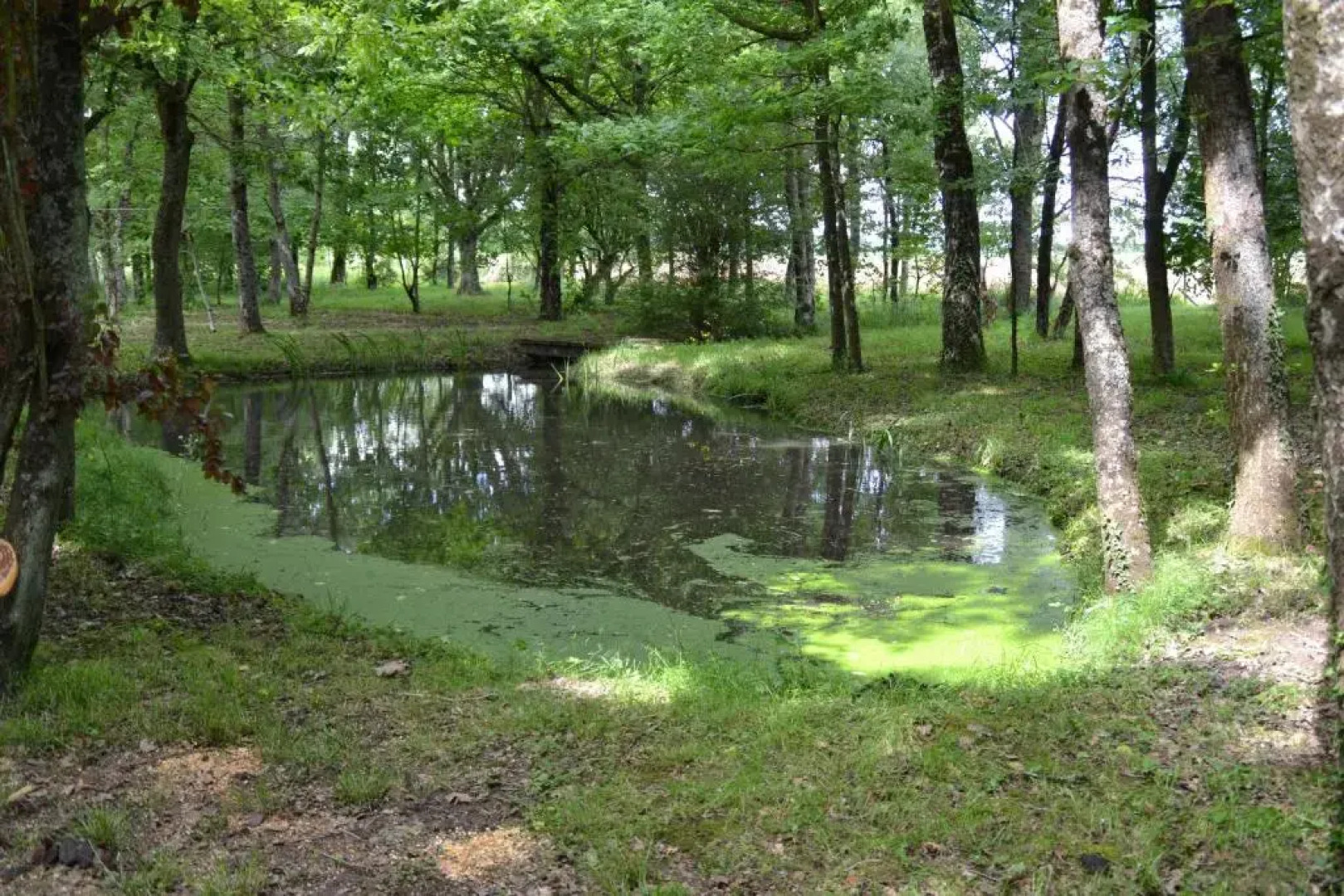 Gite de la Ronceraie