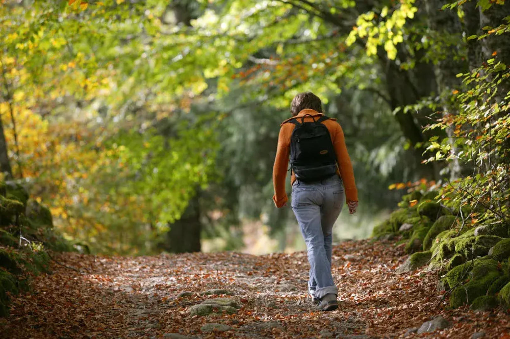 Le Logis de Sèchemailles