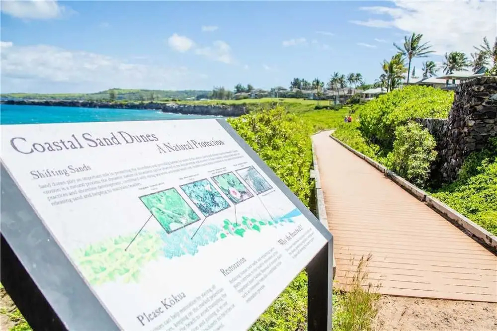 Kapalua Bay Villas 33B2 - One Bedroom Condo