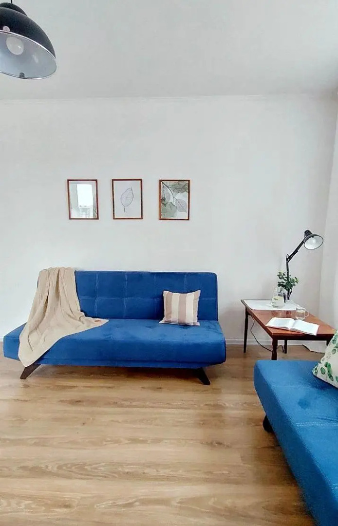 Солнечный эвкалипт на улице Крылова