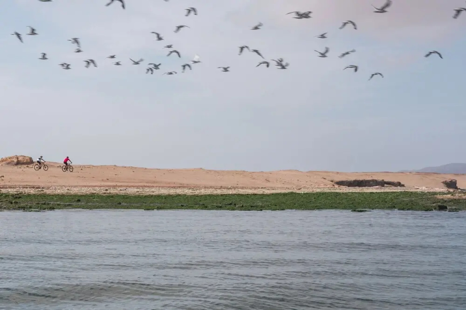 Apartamento Frente Islas Ballestas