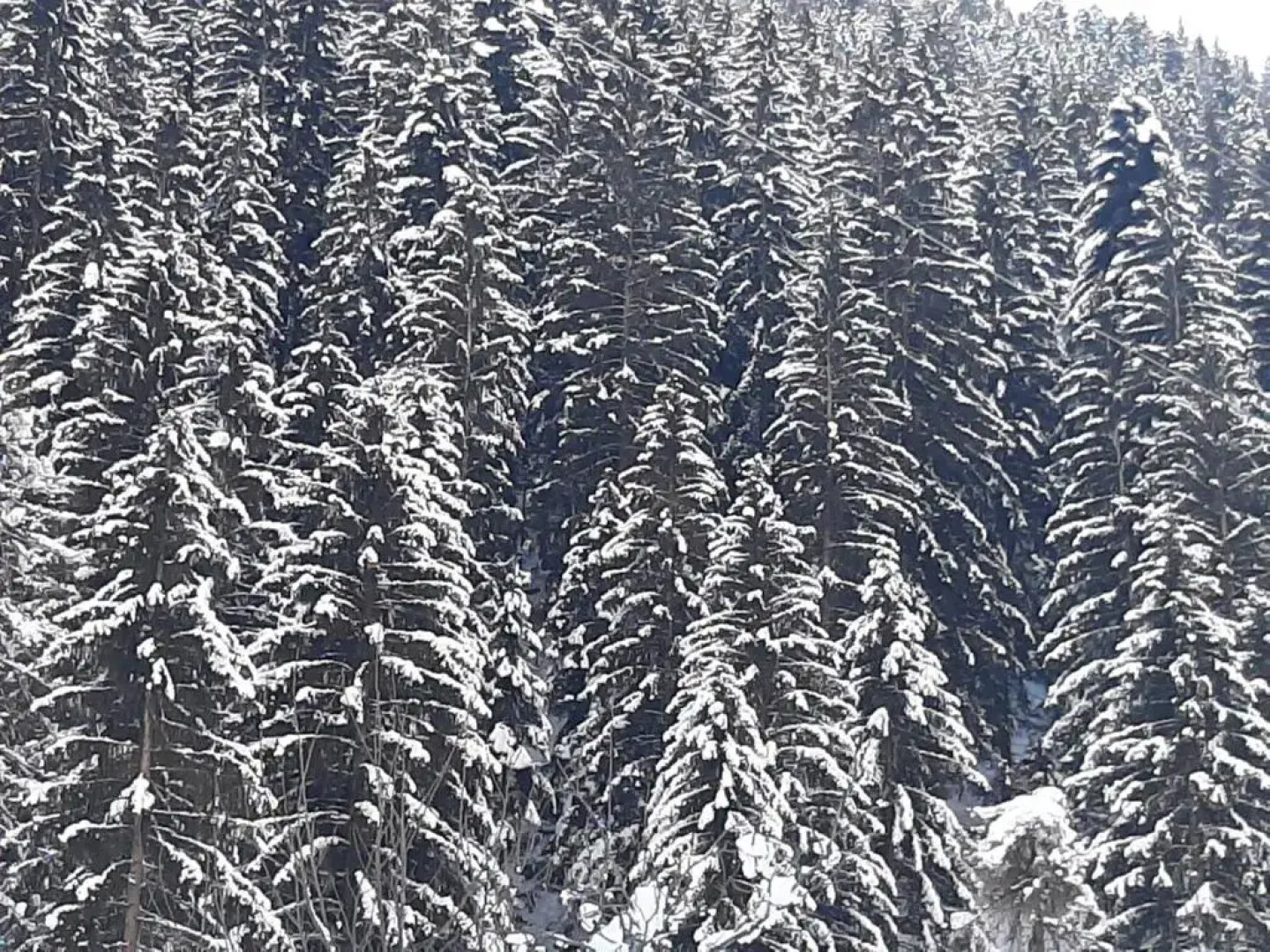 Bed and Breakfast Campo Base