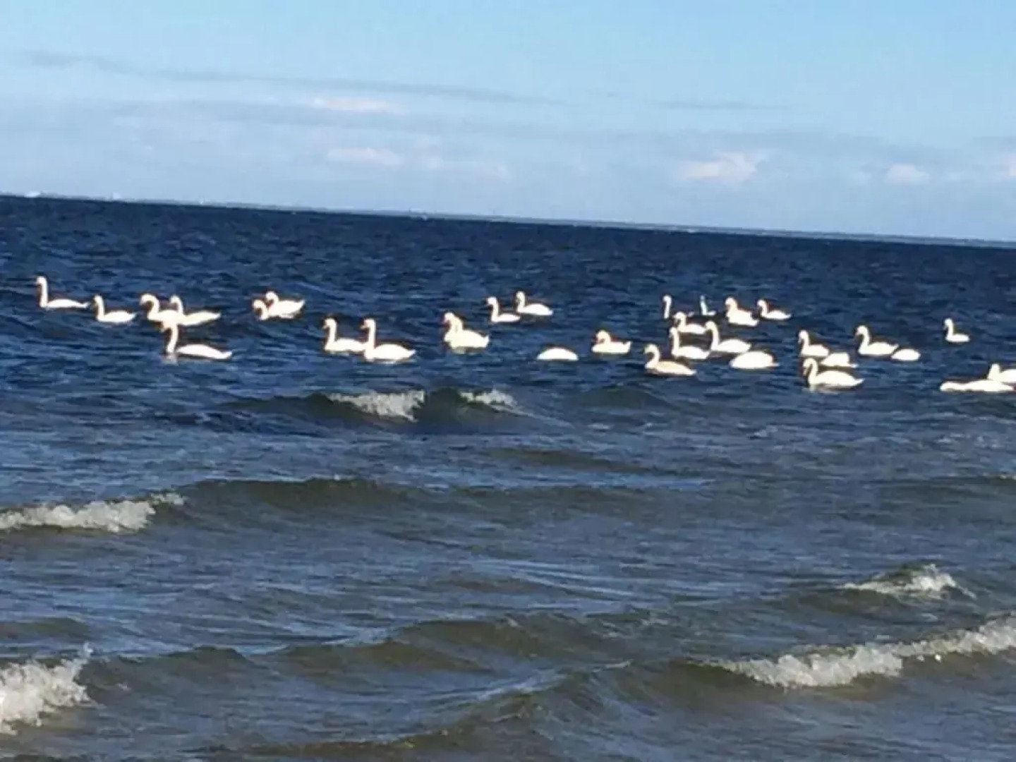 Guest house Kajaki-Ragaciems