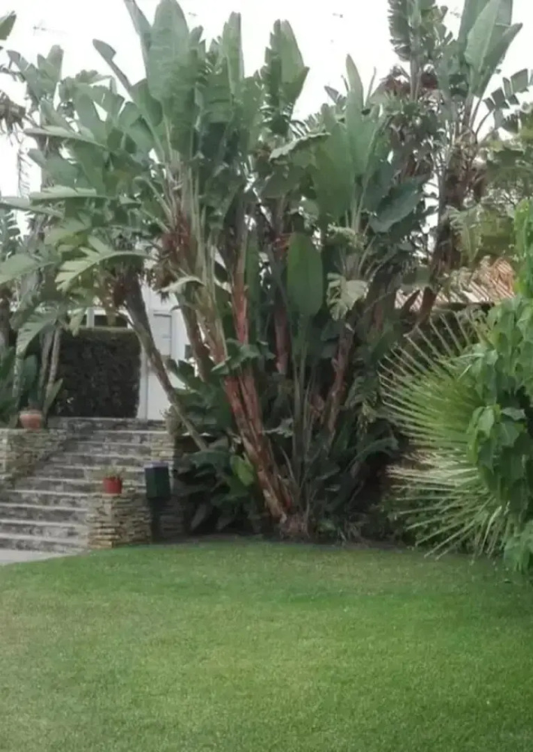 Studio in La Cala del Moral, With Pool Access and Wifi - 200 m From the Beach