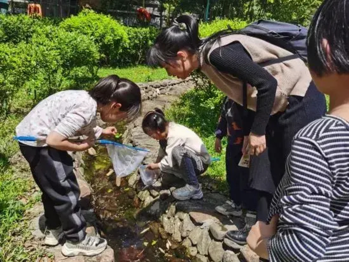 Yingxi Peak Forest Corridor Cuiying Residence