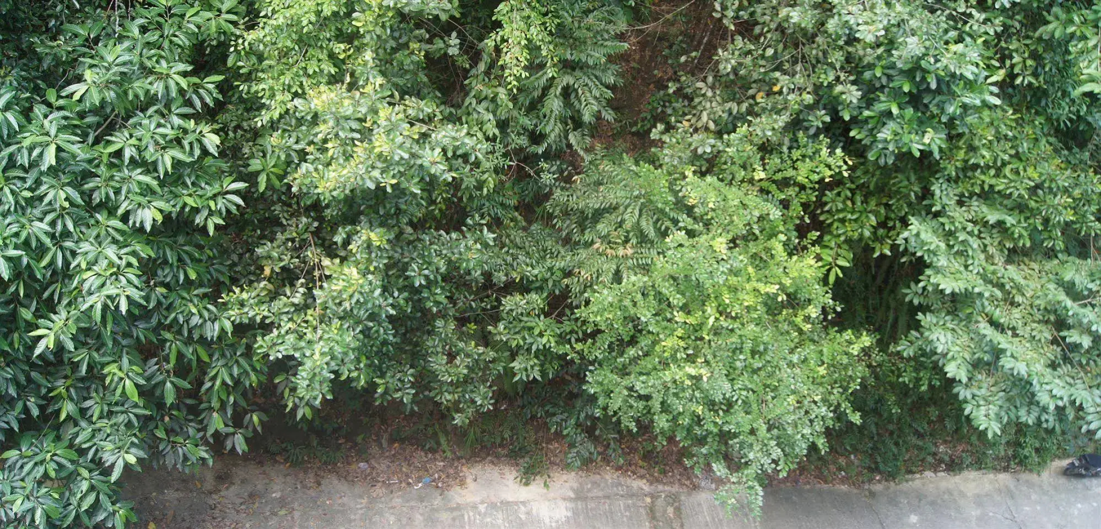 Hotel Hsiang Garden