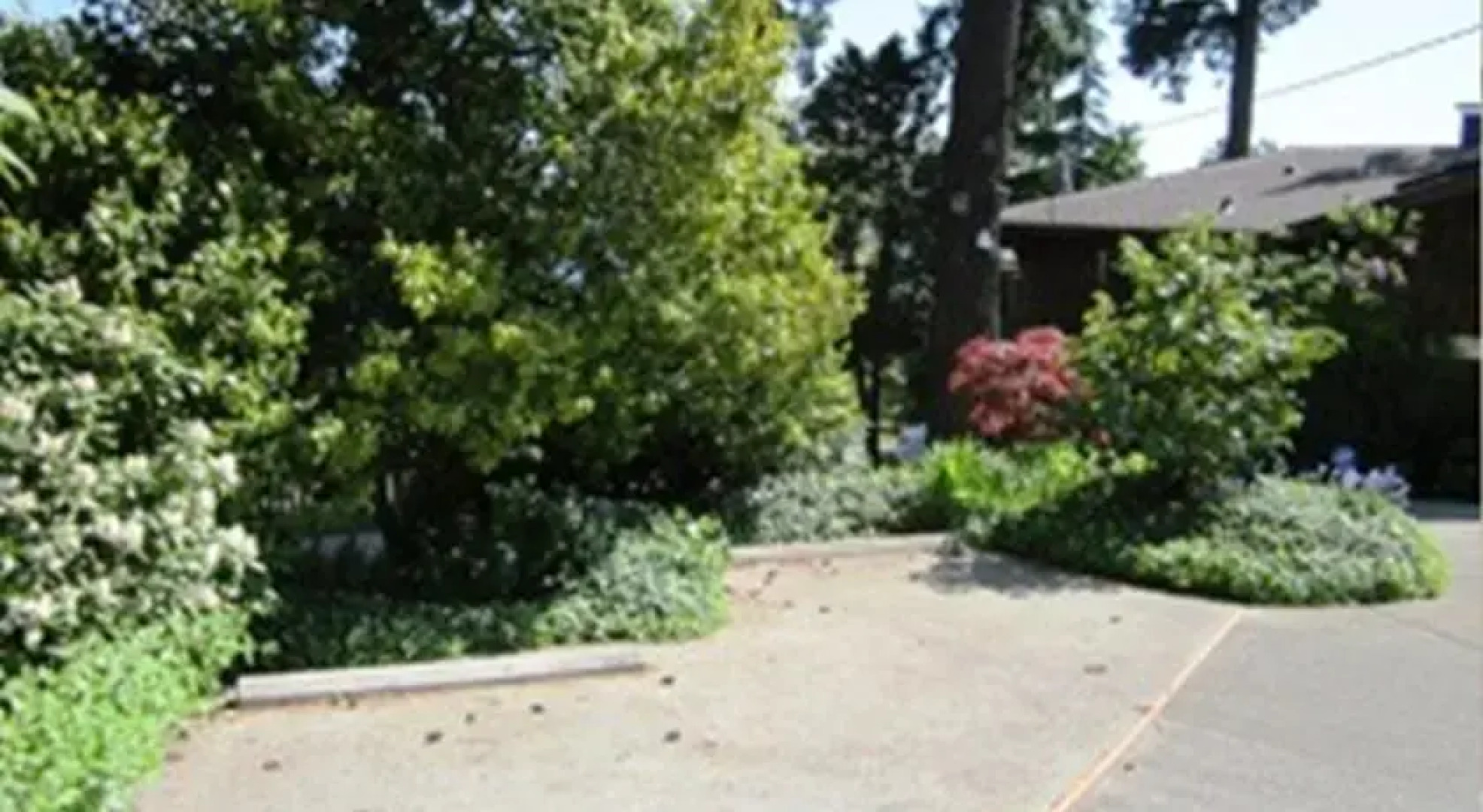 Soundview Cottage B&B