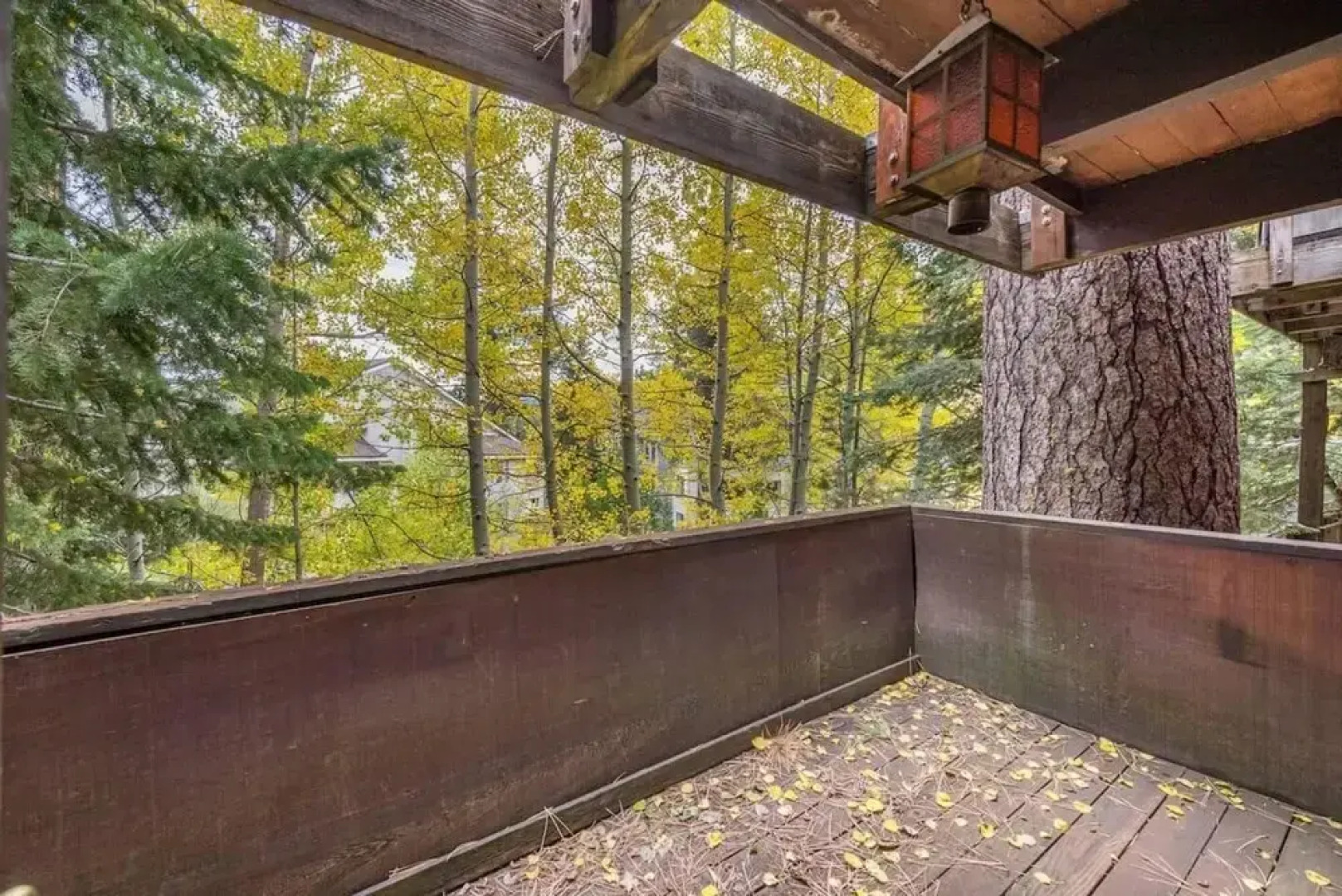 Granite Chief 2 Criterion 39 - Harley