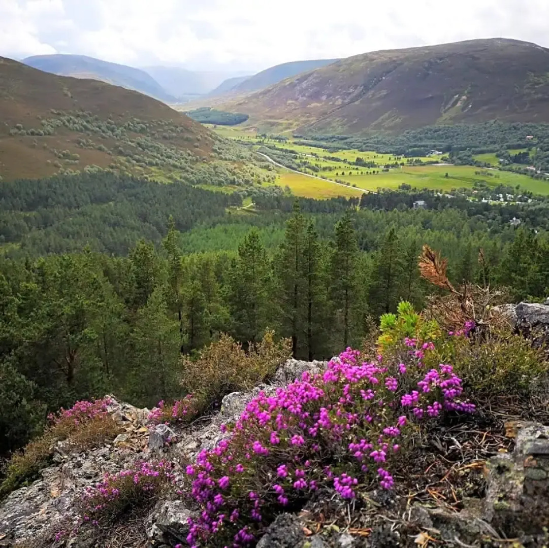 Granford Guest House