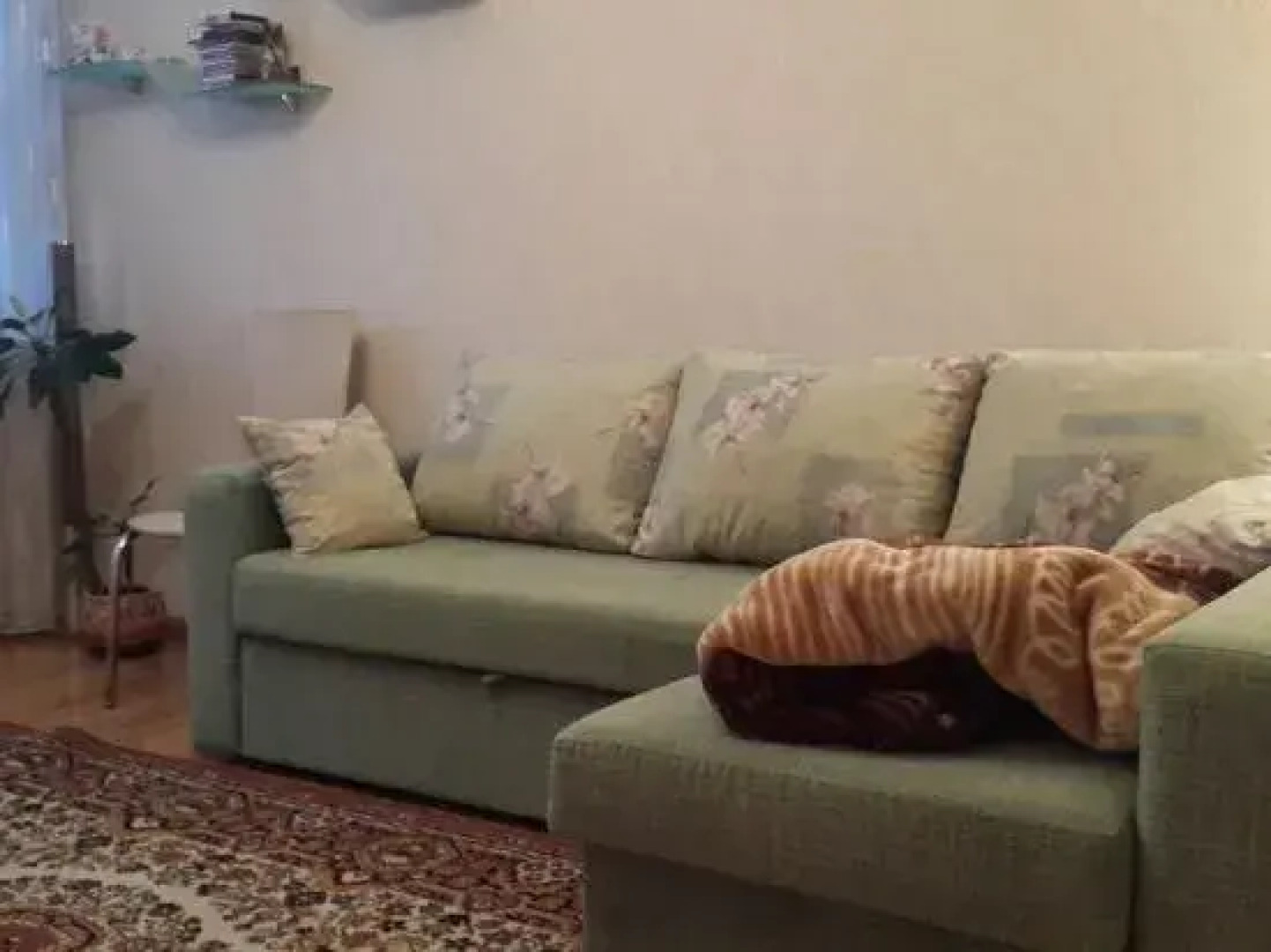 Апартаменты Натали