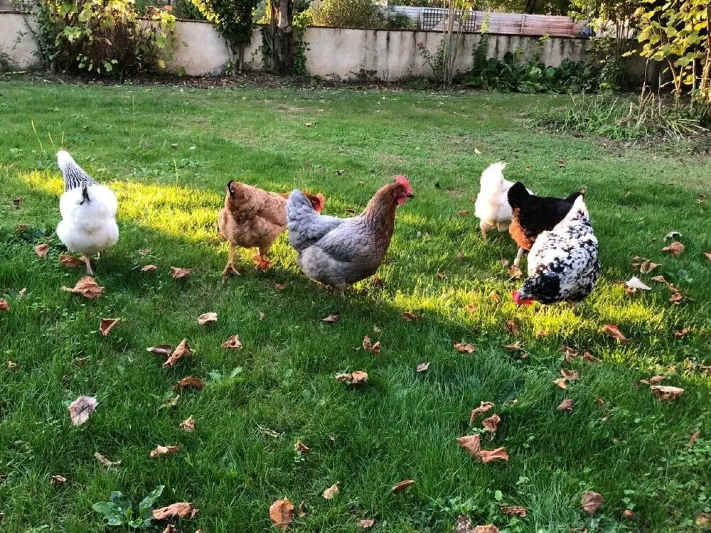 Domaine des Monges - Chambres d'hotes