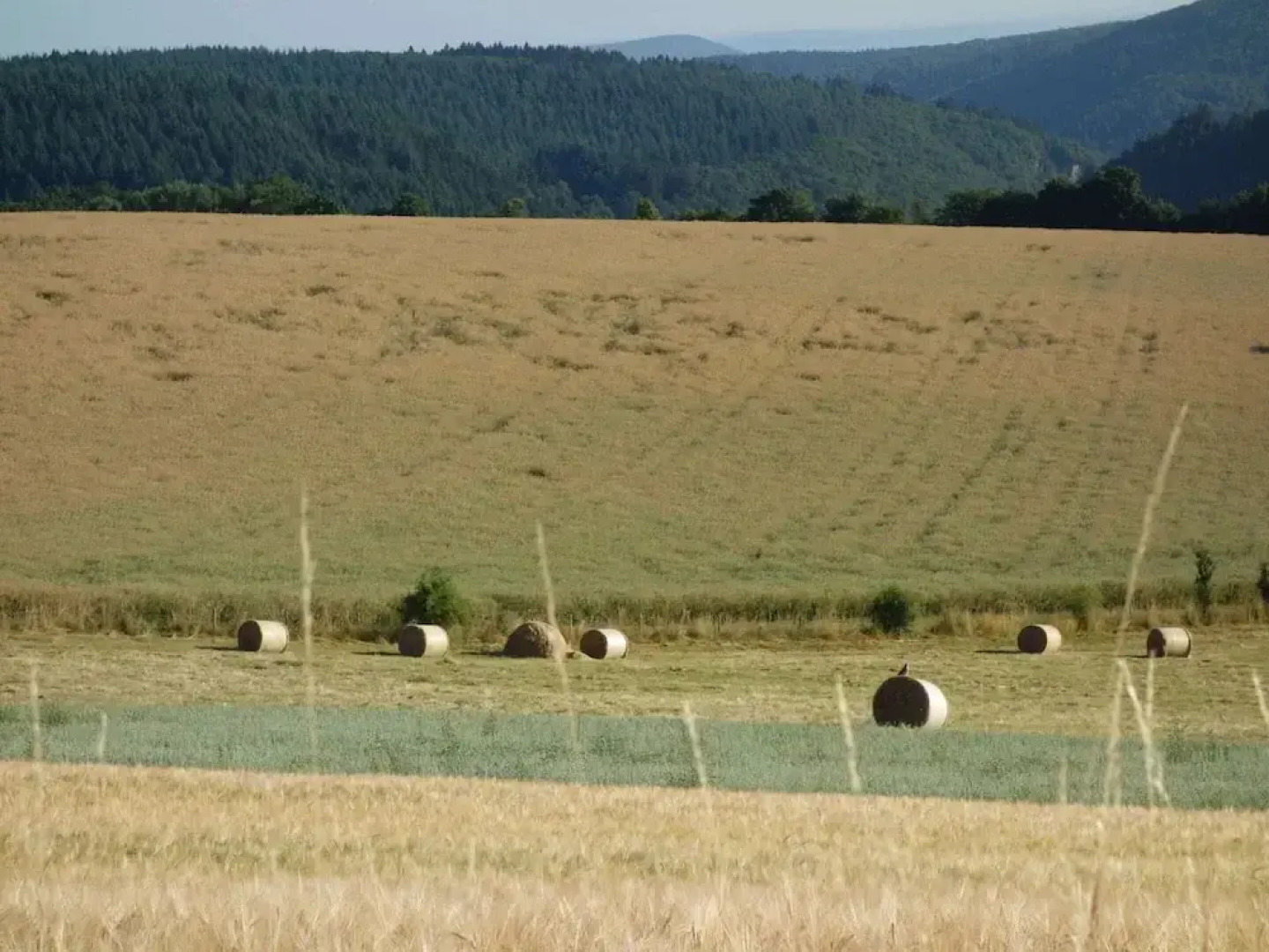 Apartment in Merschbach With Garden