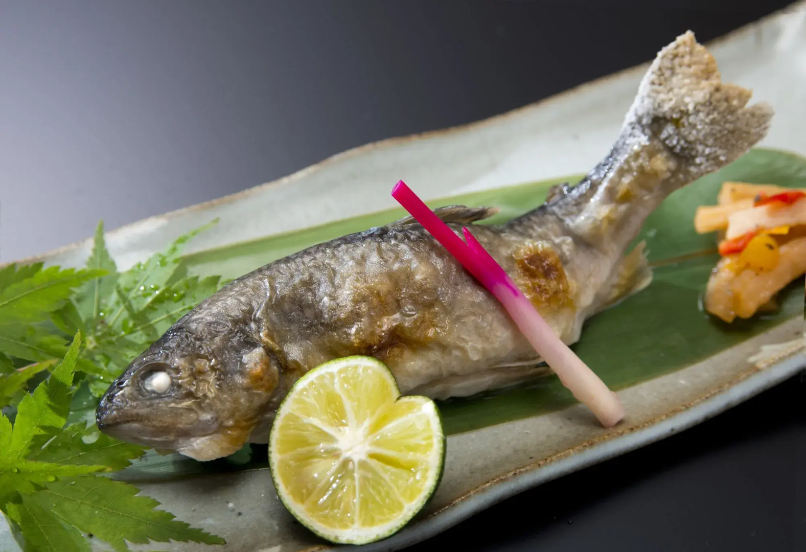 Azumino Hotaka View Hotel