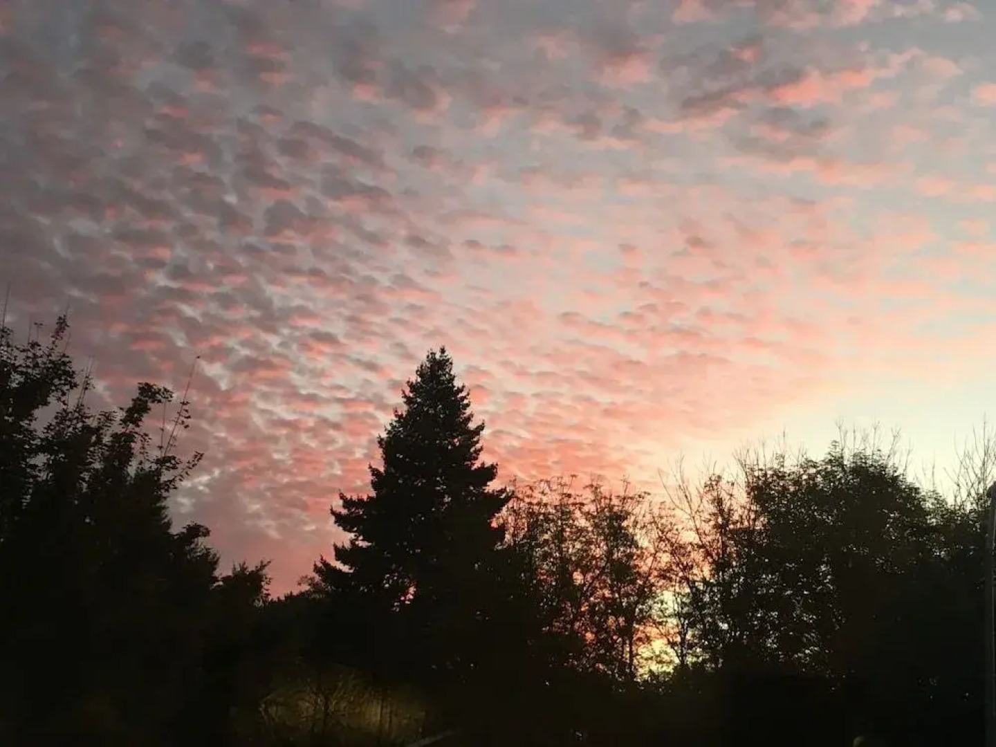 The Barn B&B Walla Walla