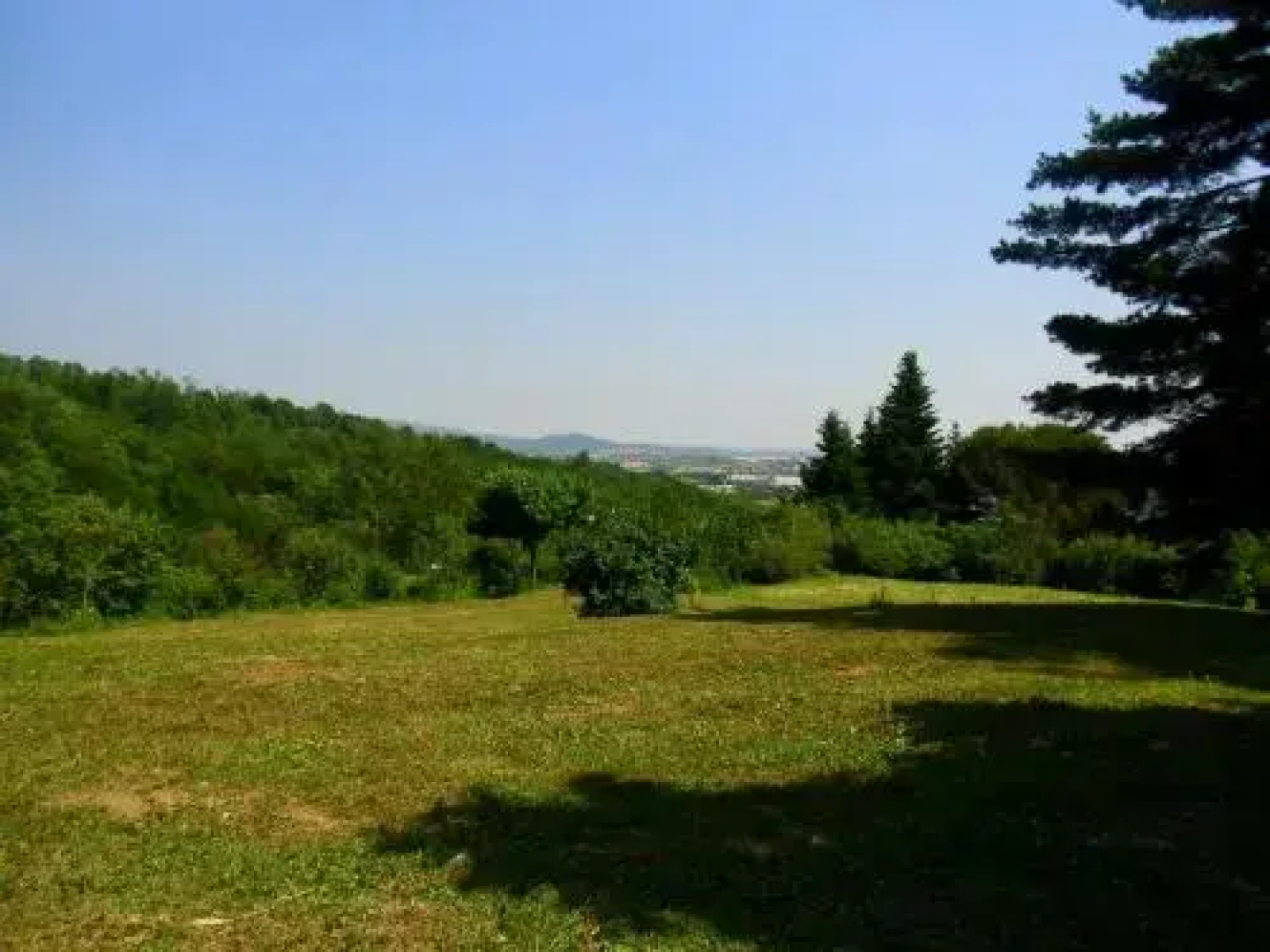 Taiobe - Happy Party House