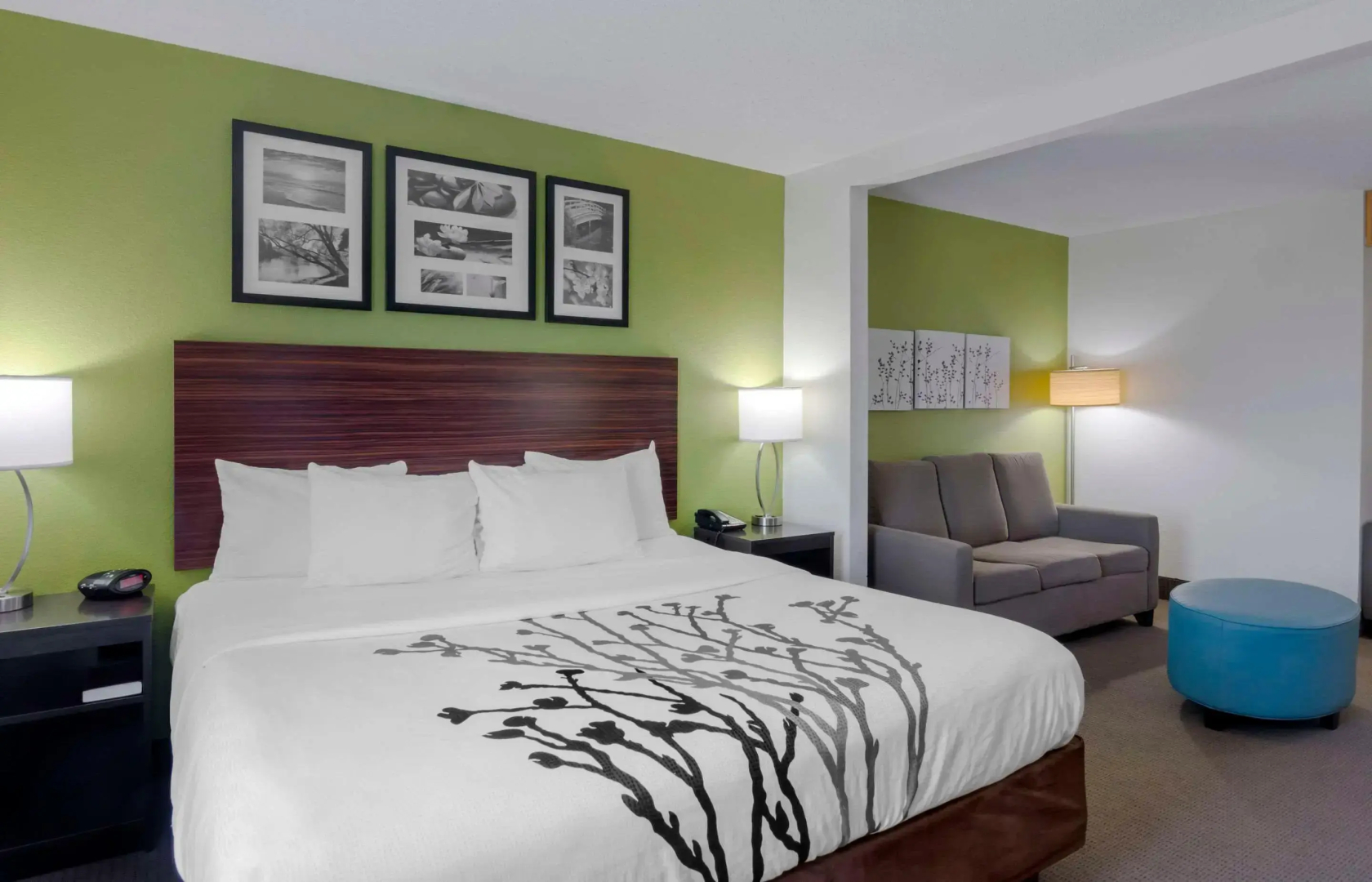 Sleep Inn & Suites Prince George near Fort Lee