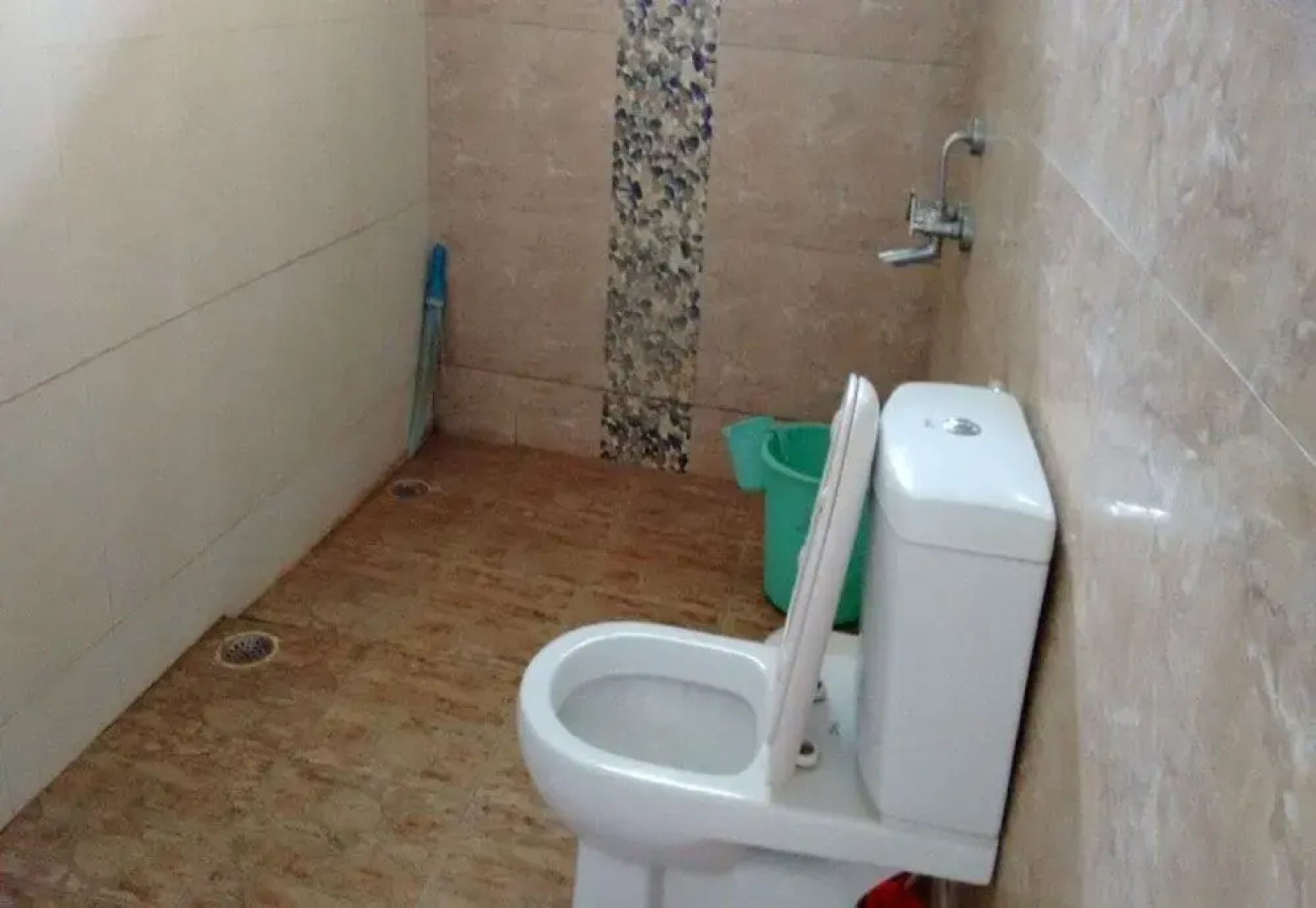 The Big Cat Den Resort