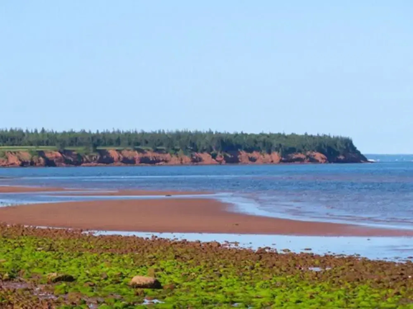 Ned's Landing at Spry Point