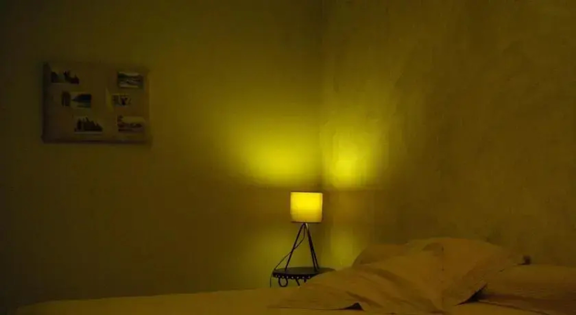 Les Dryades du Bois de Randan