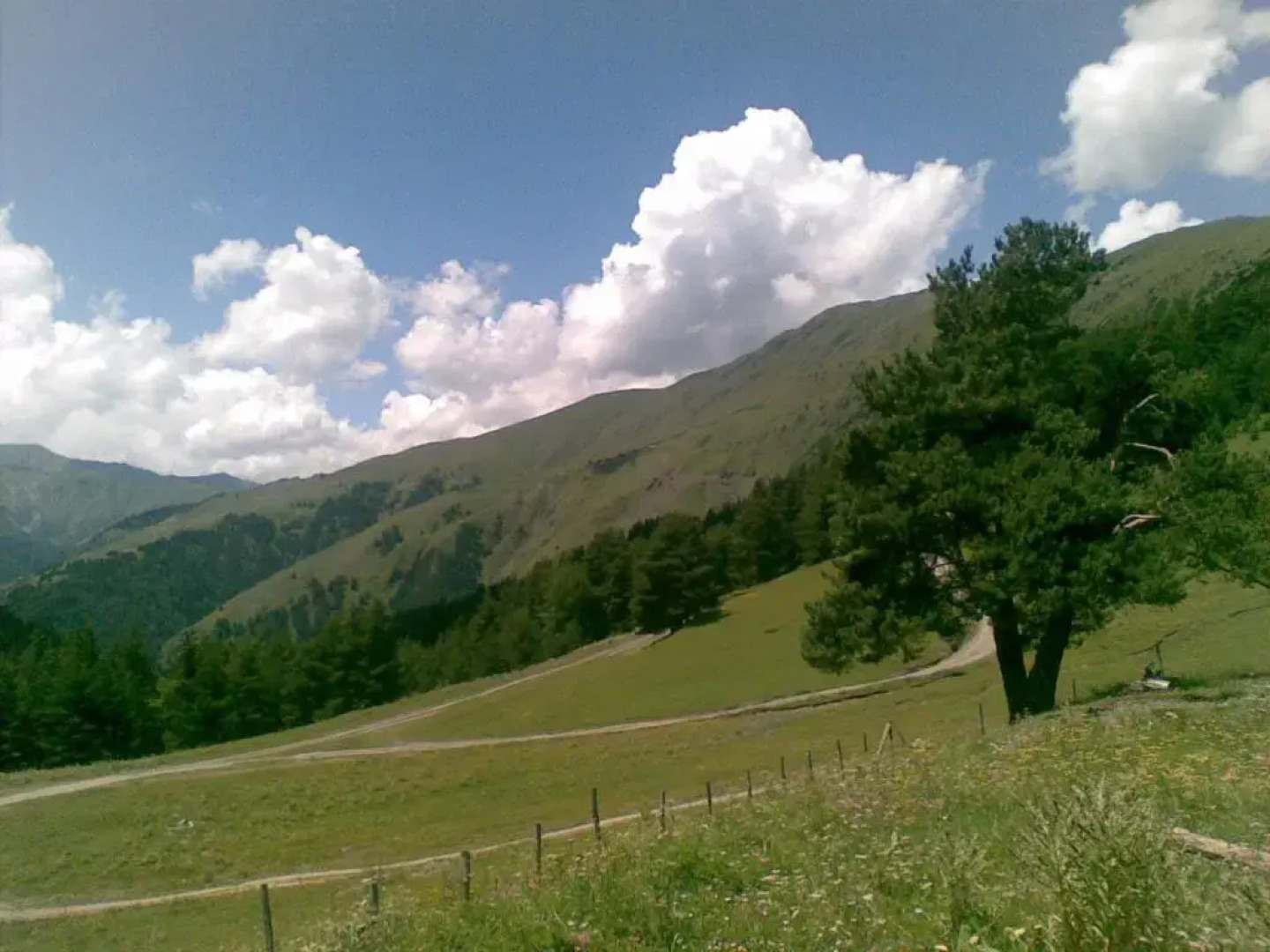 Guest House Mirgvela